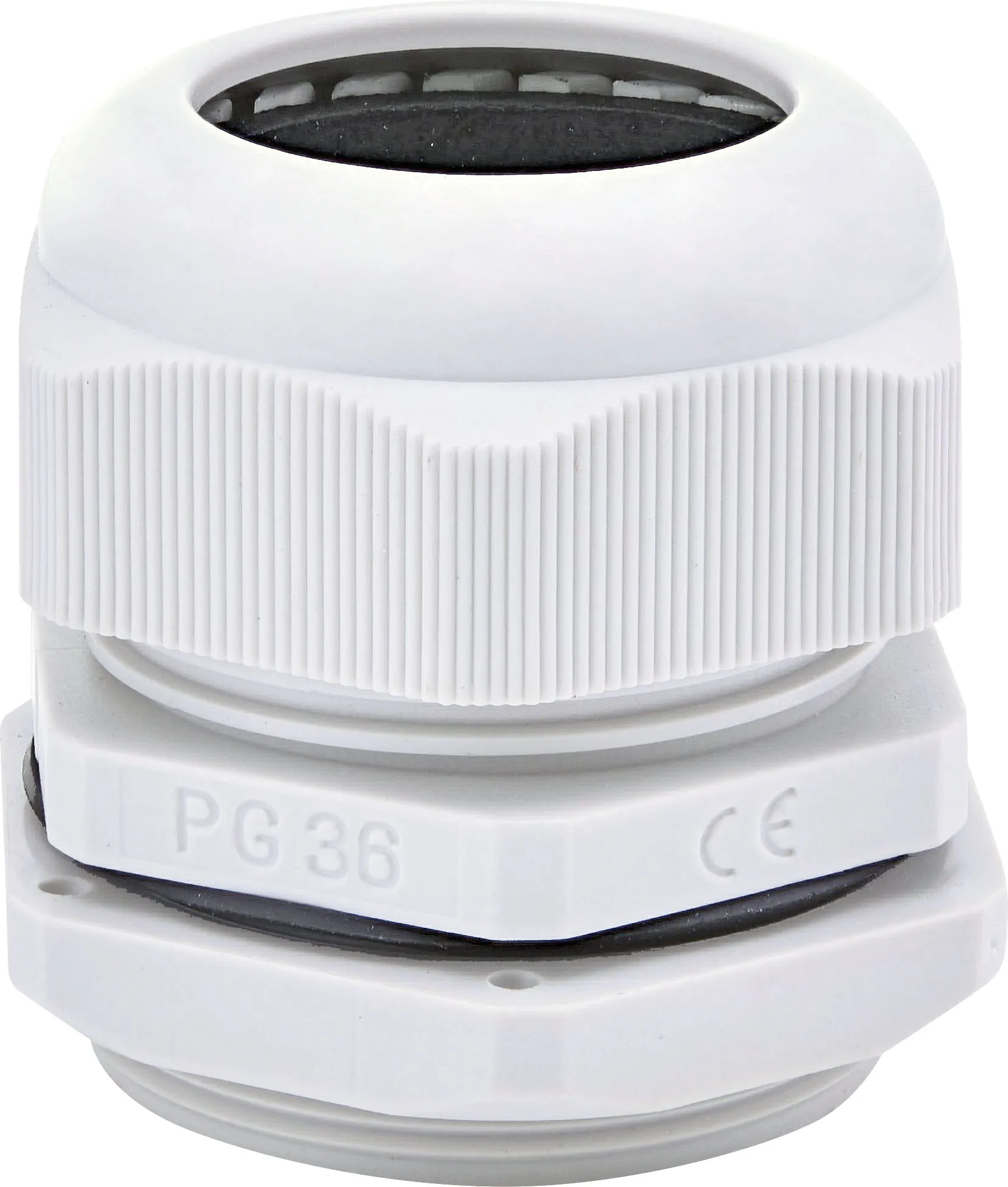 Blīvslēgs PG-36 001102648